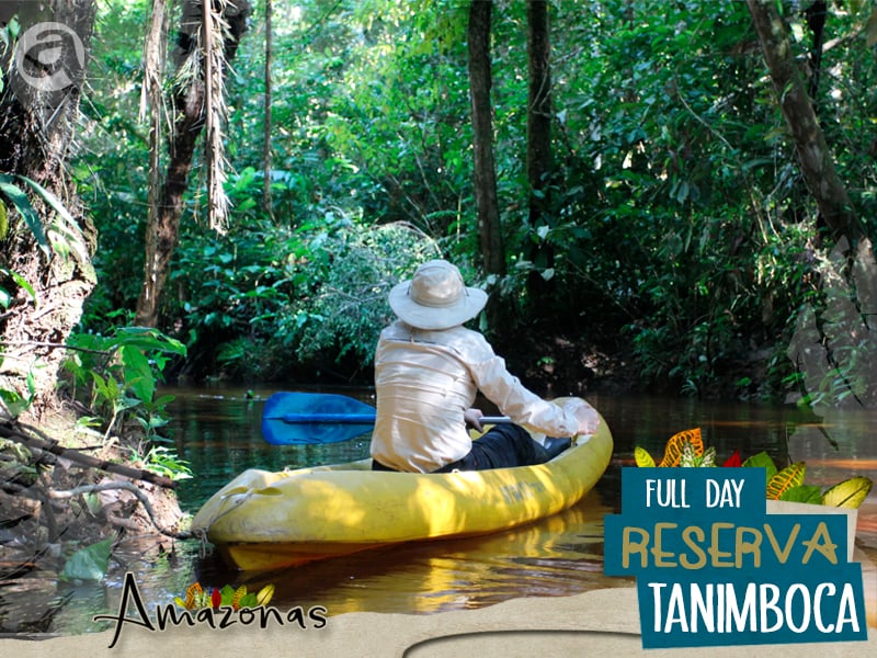 Banner FULL DAY RESERVA TANIMBOCA