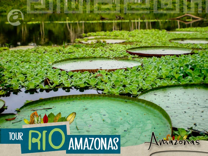 Banner Tour Rio Amazonas