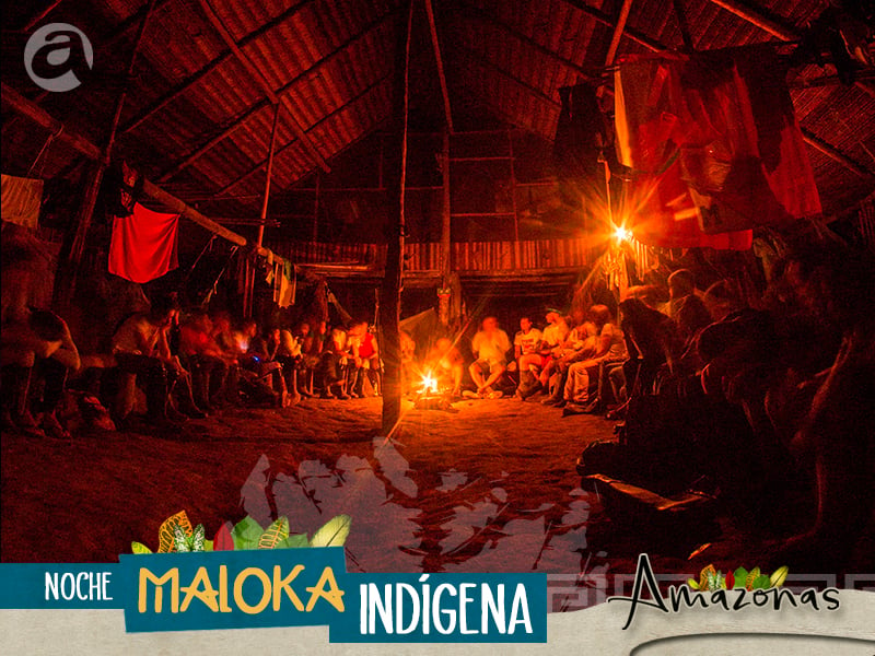 Banner noche maloka indigena