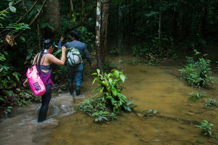 selva inundable