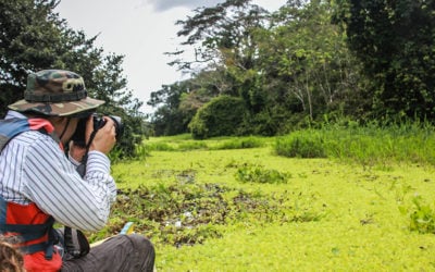 avistamiento de delfín rosado en el Amazonas