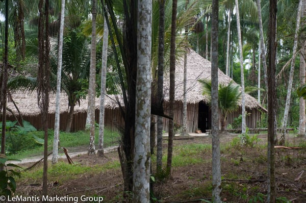 INDIGENA AMAZONAS  (12)