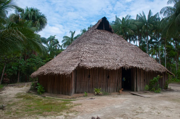 INDIGENA AMAZONAS  (13)