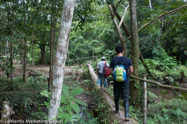 ecoturismo en el Amazonas