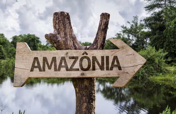 VIAJAR AL AMAZONAS