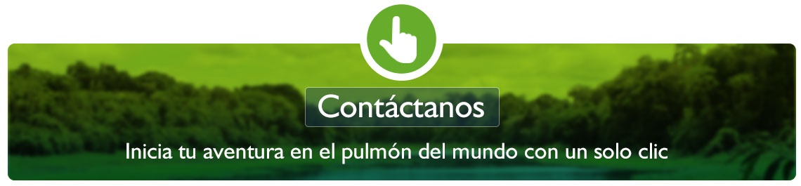 contactanos