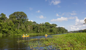 Amazonate Selva y Rio