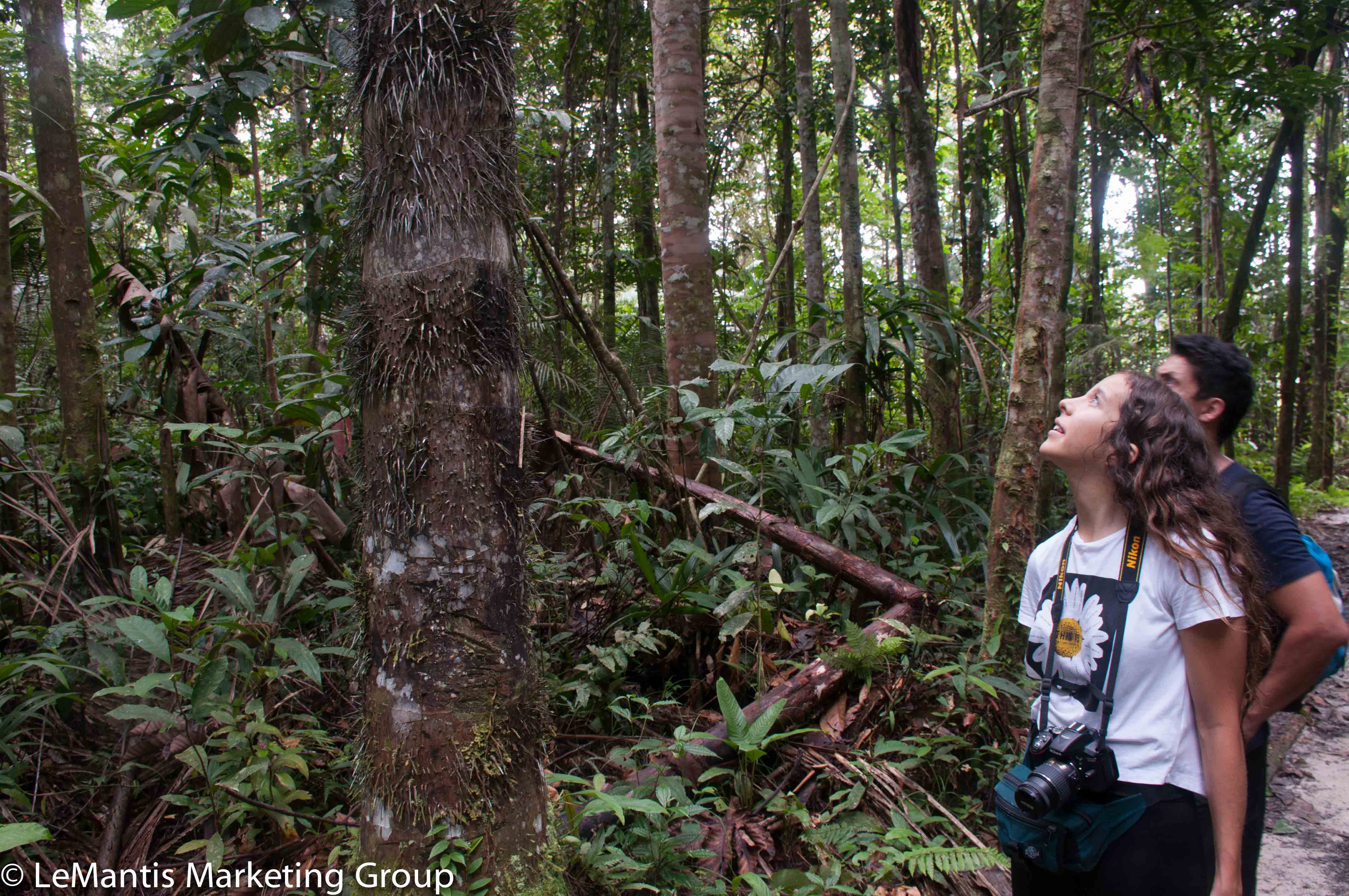 avistamiento de aves amazonas (2)