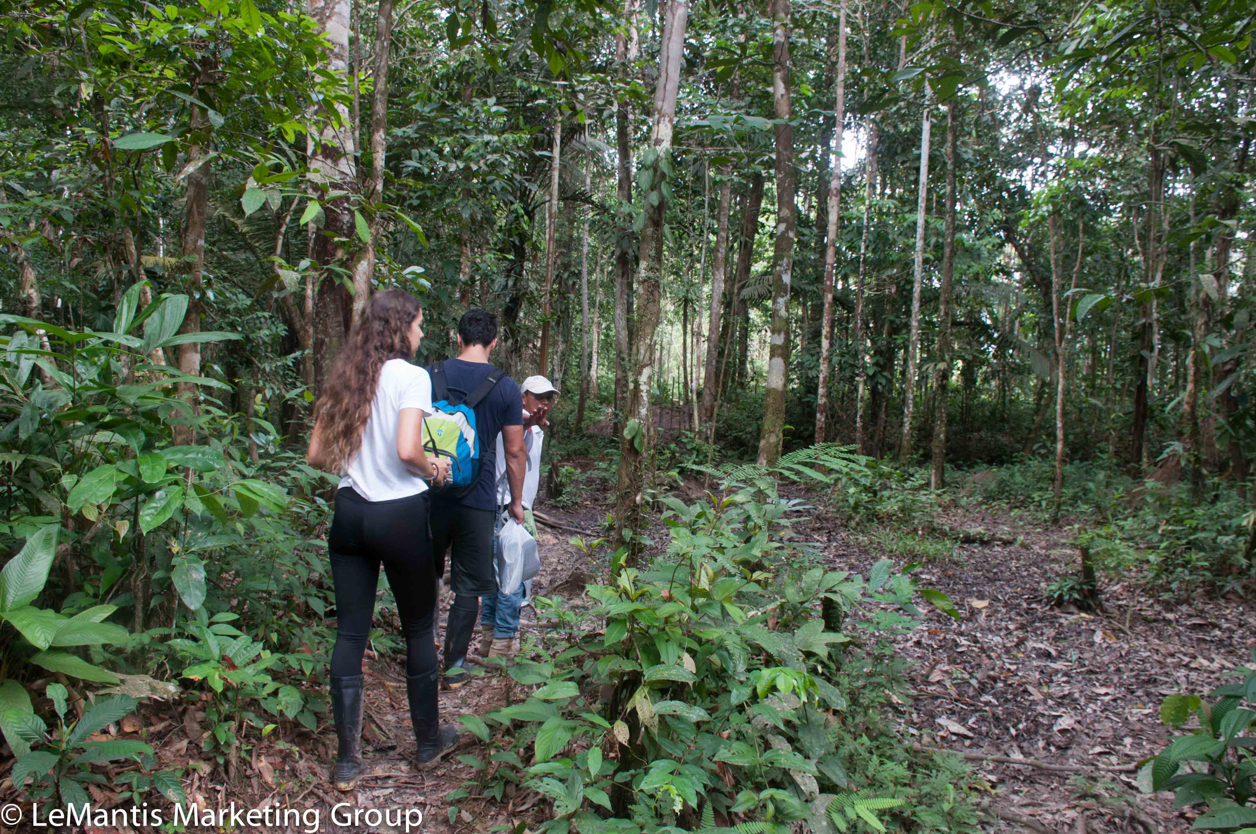 Turistas-selva