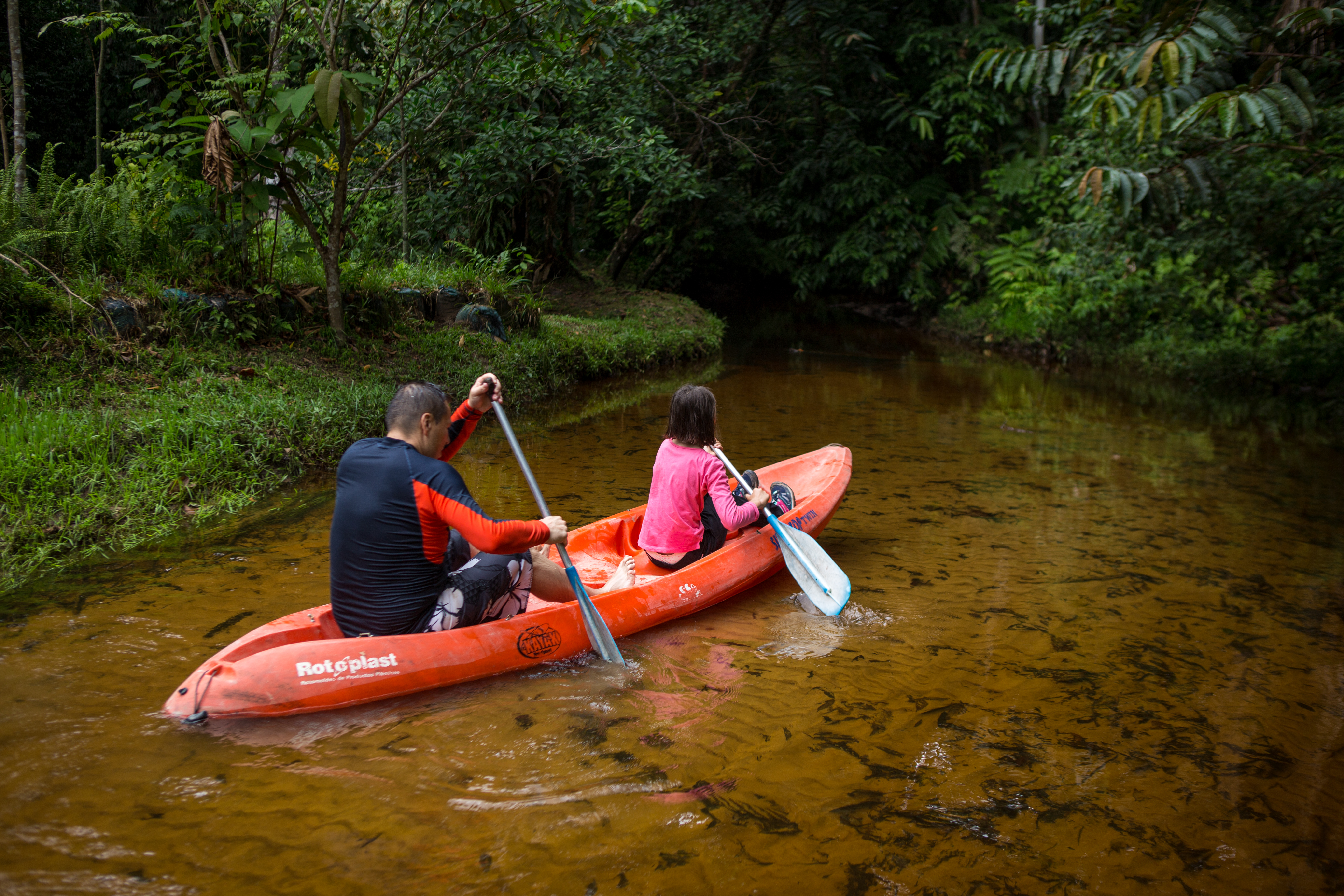 Kayak