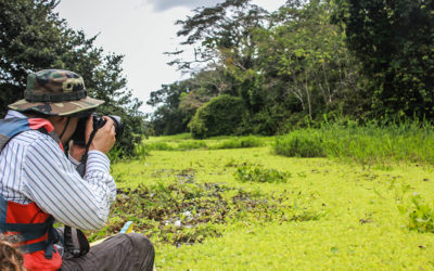 Avistamientos de delfines del Amazonas