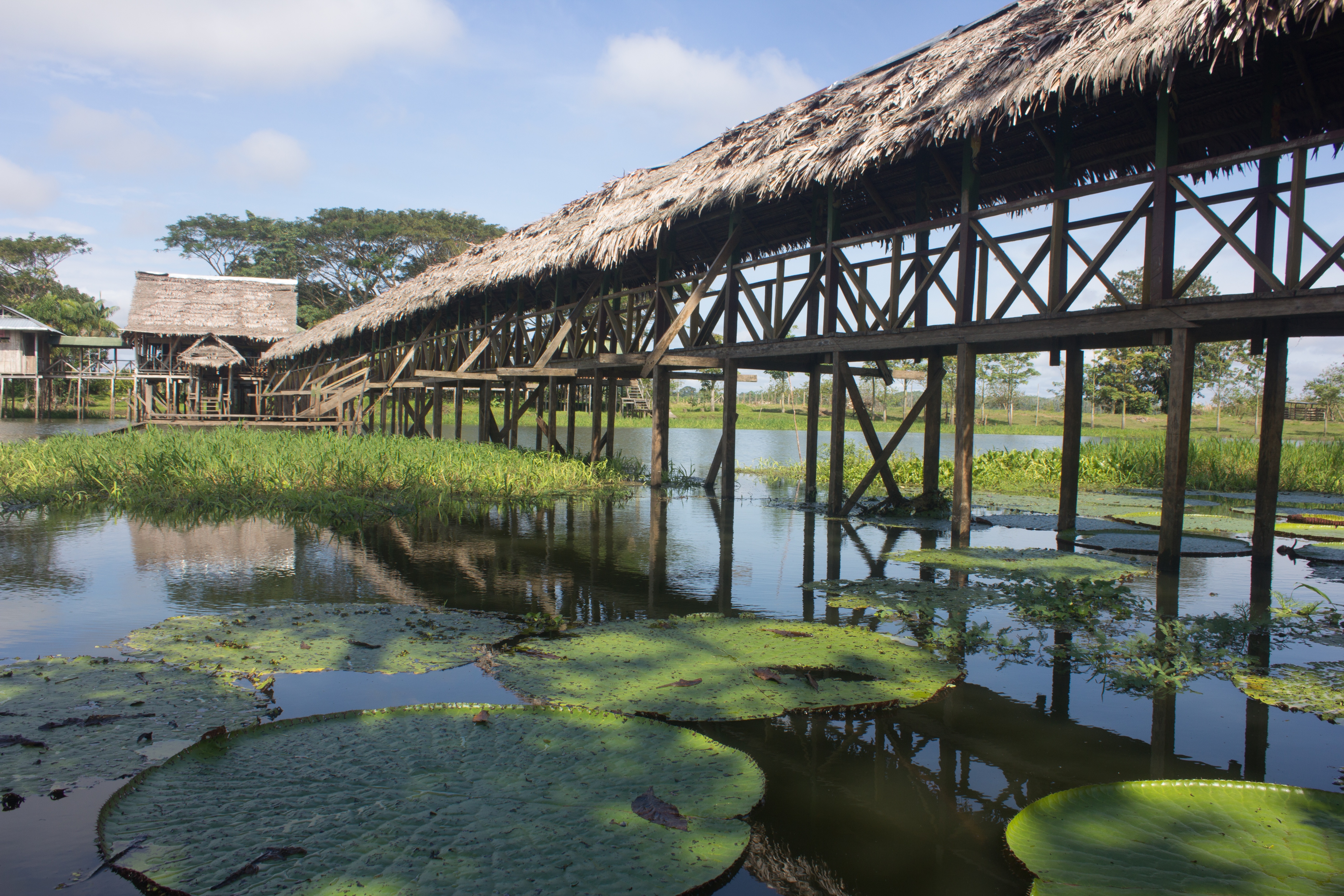 Turismo en el amazonas